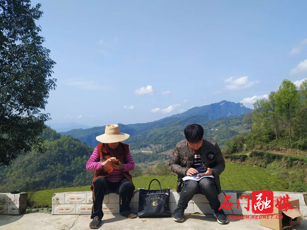 图片1.jpg 图片1.jpg