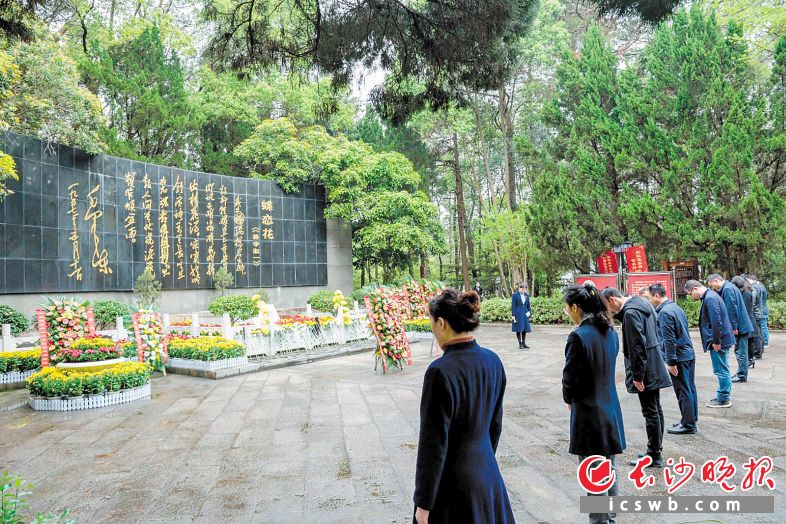 　　4月2日，长沙县开慧镇党员干部群众自发来到杨开慧烈士陵园，祭奠英烈、表达哀思。长沙晚报全媒体记者 陈飞 摄