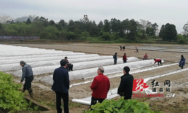 深入田间地头指导粮食安全生产.gif 深入田间地头指导粮食安全生产.gif