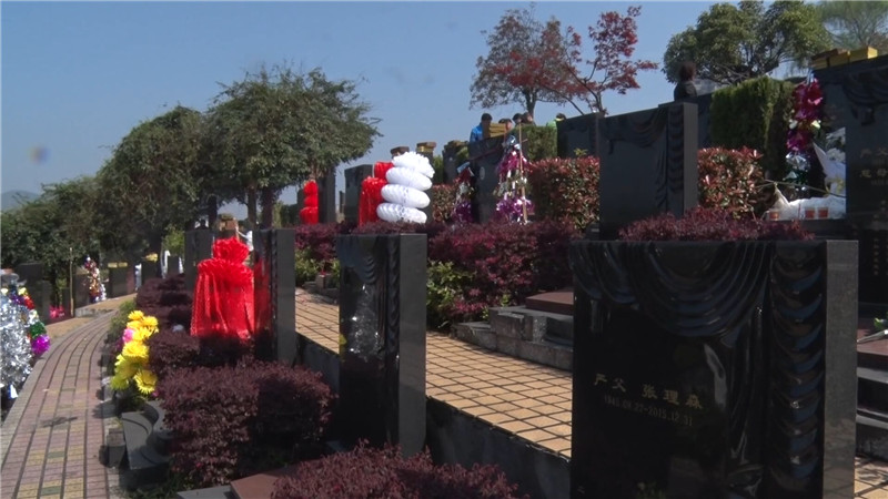 怀化市发布文明祭扫共同战“疫”倡议书（半成品）.mp4_20200403_163257.382.jpg