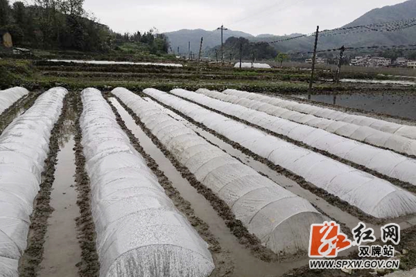 三个到位治理耕地抛荒_副本.jpg