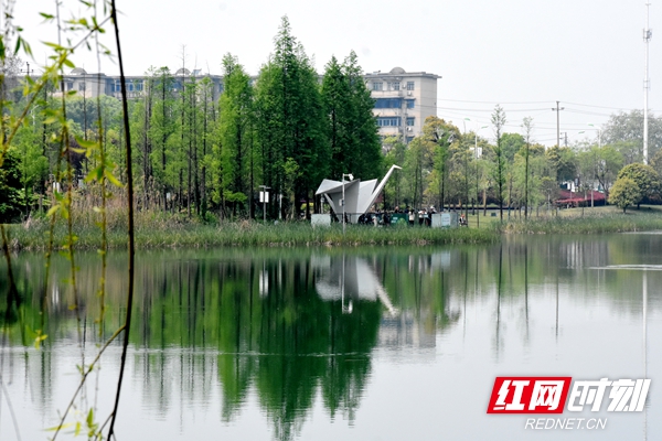 两幅美景，岸上一幅，水里一幅。.jpg