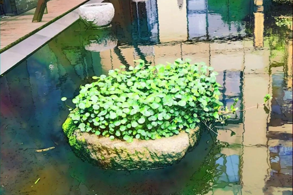 微信图片_20200407093634_meitu_1.jpg