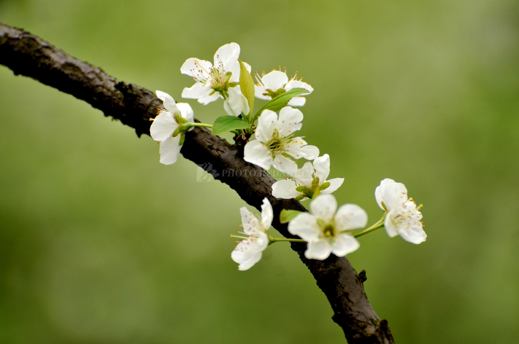 417878_1362920146ZGEA.jpg 417878_1362920146ZGEA.jpg