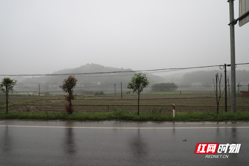 赫山泥江口镇党员带头流转600亩水田种植双季稻