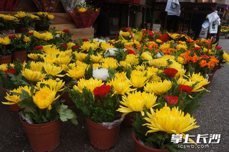 进入陵园祭扫的市民几乎人手一盆鲜花。