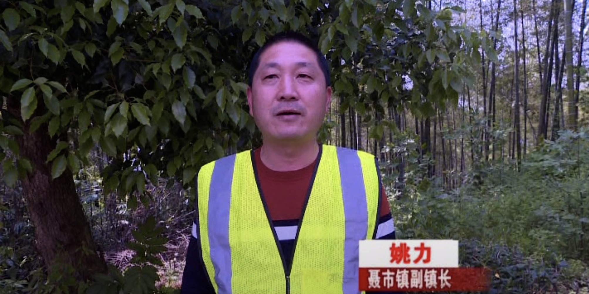 聂市镇:重拳整治最江公路交通顽瘴痼疾__临湘新闻网