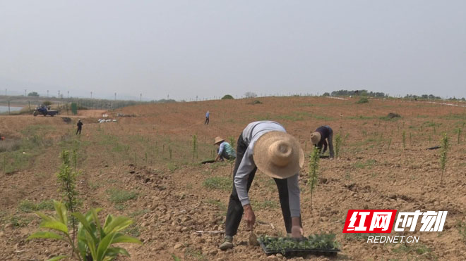 暴风截图20204928311685.jpg 暴风截图20204928311685.jpg