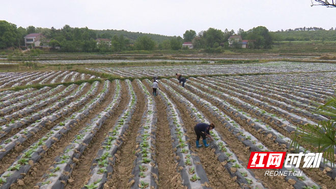 暴风截图20204928224902.jpg 暴风截图20204928224902.jpg