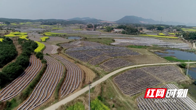 暴风截图20204928202406.jpg 暴风截图20204928202406.jpg