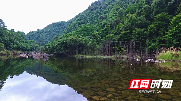 宜章:莽山浪畔湖溼地列入《2020年國家重要溼地名錄》_旅遊_郴州站