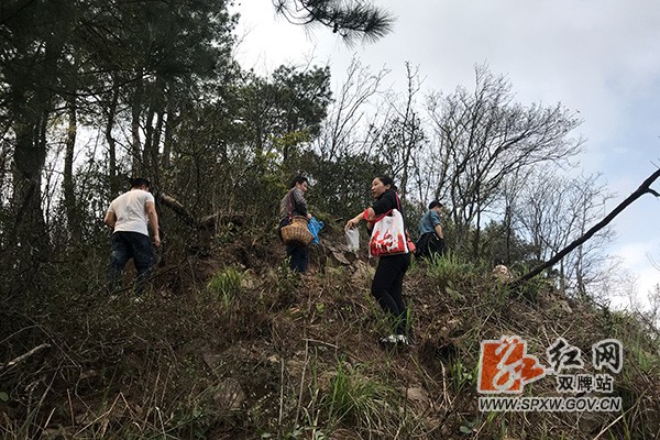 打鼓坪茶农上山采茶H.jpg