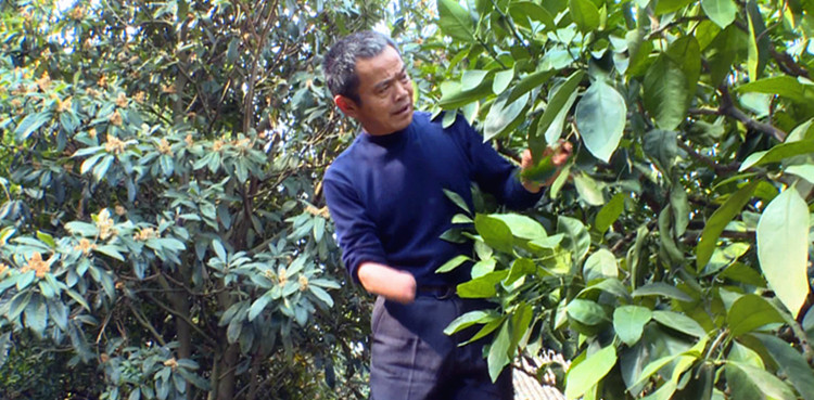 何茂仁.jpg