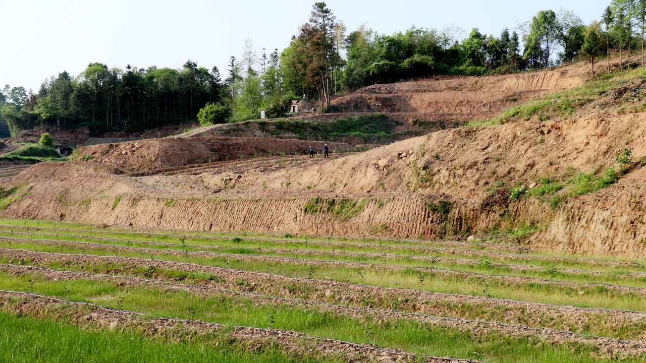 泥窝潭乡燕岩庙村水果种植基地_副本.jpg