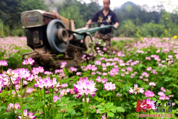 1.花伴春耕农时紧。_副本.jpg