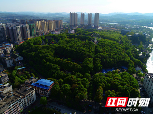 DJI_0008_副本_副本.jpg