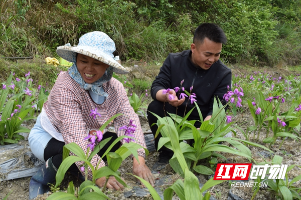 交流种植经验_副本.jpg