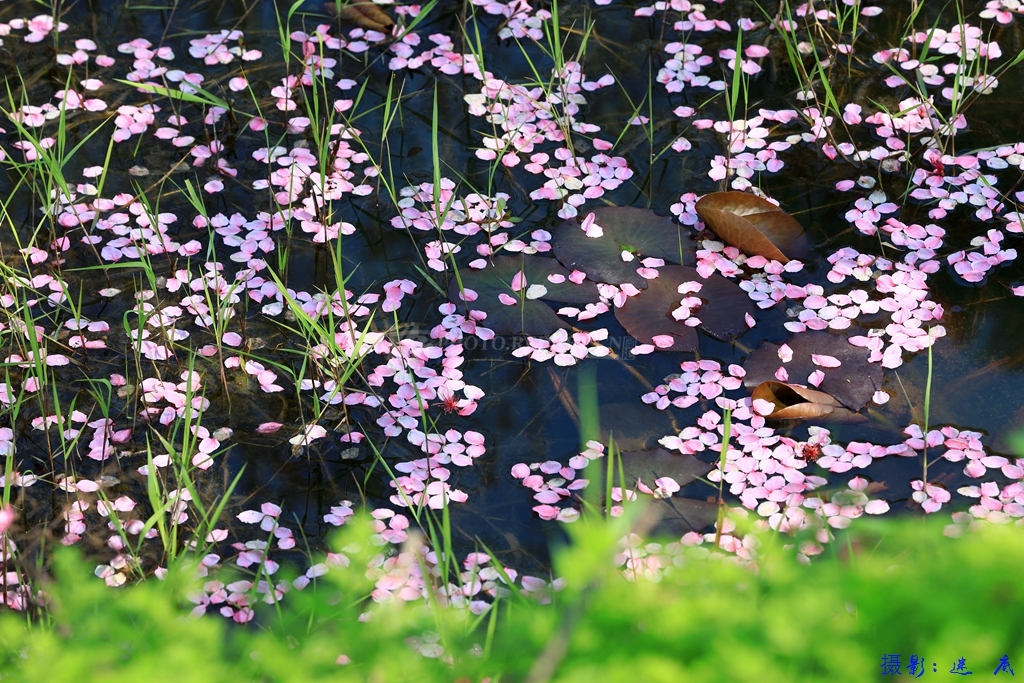 597895_1584673839jCky.jpg 597895_1584673839jCky.jpg