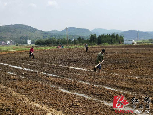 柏家坪镇：凝心聚力真抓实干，坚决打赢人居环境治理、粮食生产、发展集体经济攻坚战1_副本500.jpg