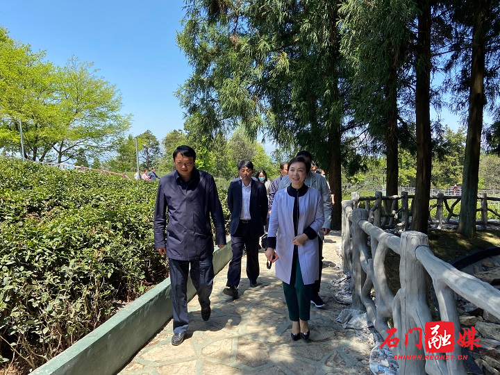 副市长杨成英来石调研市场监管工作_本地要闻_石门新闻网