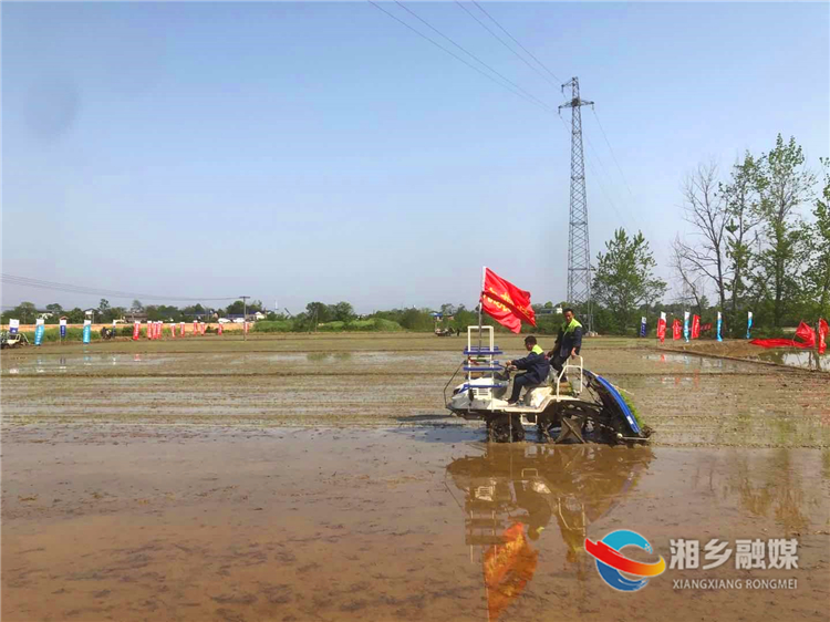 水稻有序抛秧机在湘乡首次亮相
