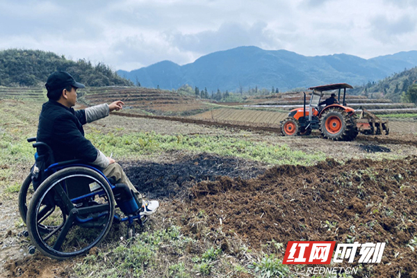 清风头条丨轮椅上闯出致富路 湖南频道