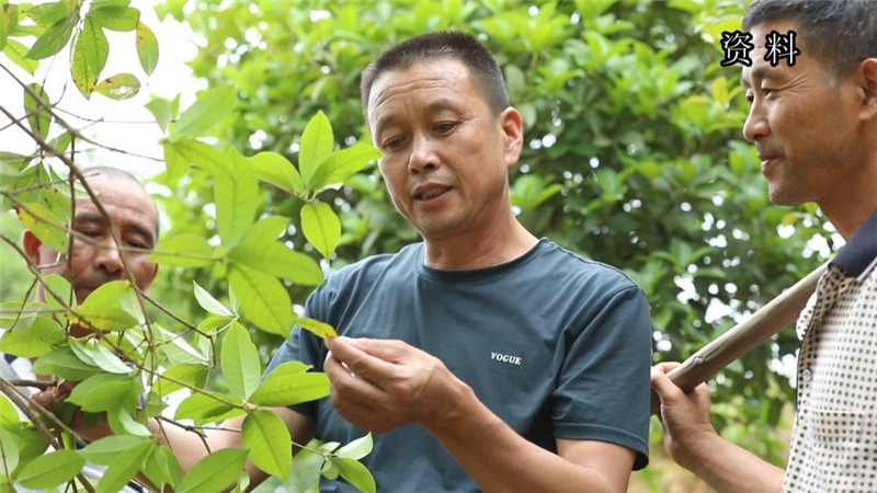 余绍文：种下摇钱树带富一方人 (8).jpg