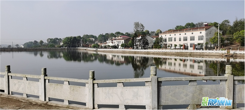 合力村汨罗融媒体讯(记者 任可 通讯员 章莉)走进桃林寺镇合力村柏塘