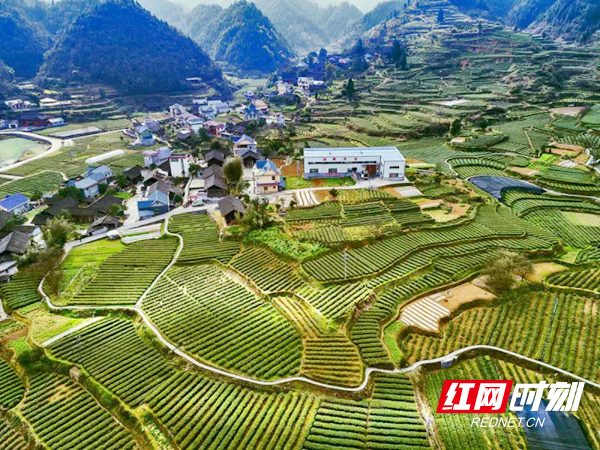 微信图片_20200417152447.png