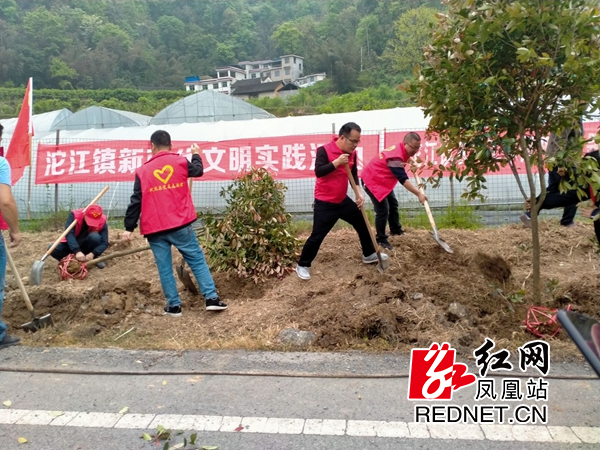 图片11.jpg