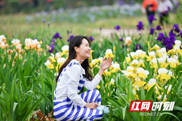 DSC_9521.jpg DSC_9521.jpg