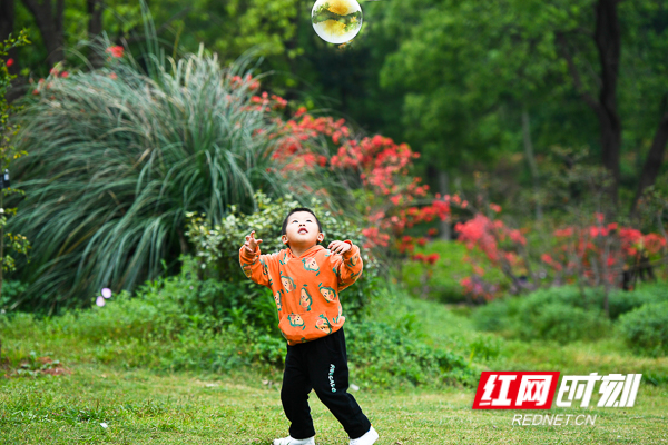 DSC_9937a.jpg DSC_9937a.jpg