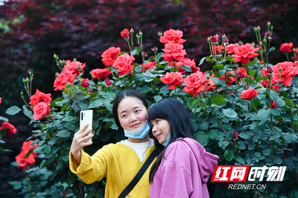 DSC_9708.jpg DSC_9708.jpg