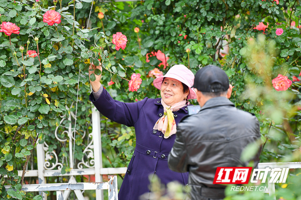 DSC_9616.jpg DSC_9616.jpg