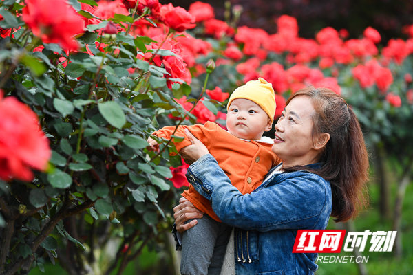 DSC_9835.jpg DSC_9835.jpg