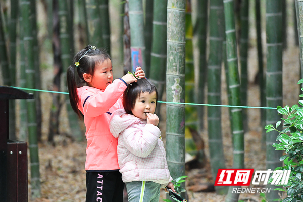 DSC_9906.jpg DSC_9906.jpg