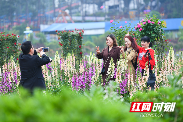 DSC_0187.jpg DSC_0187.jpg