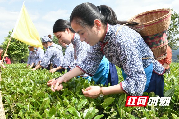 刘志雄2020讲道集图片