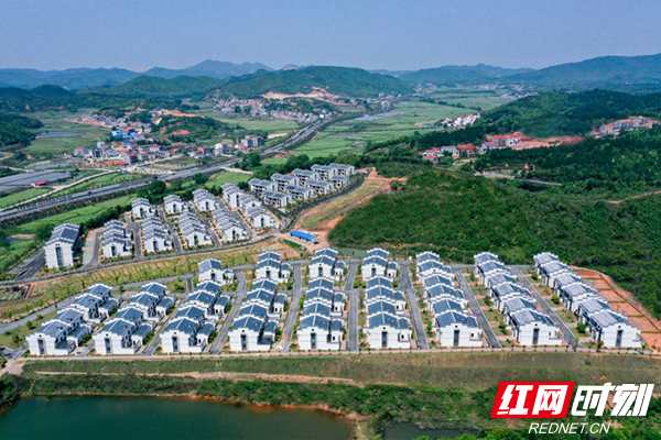 DJI_0592_副本.jpg