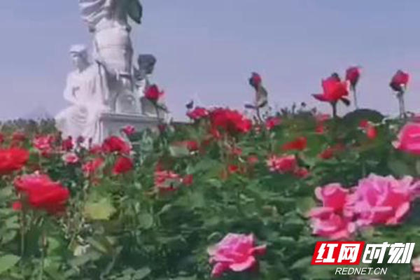暴风截图20204201542402890.jpg
