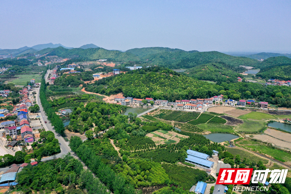 DJI_0627_副本.jpg