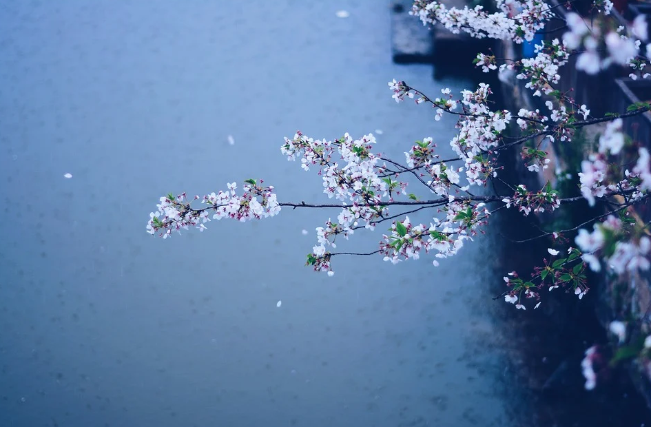 QQ截图20200417163207.png