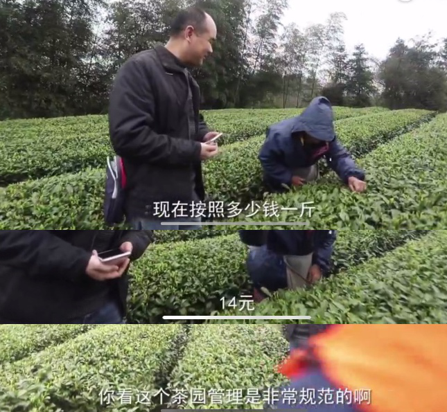 图片14.png