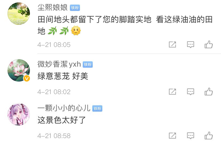 图片15.png