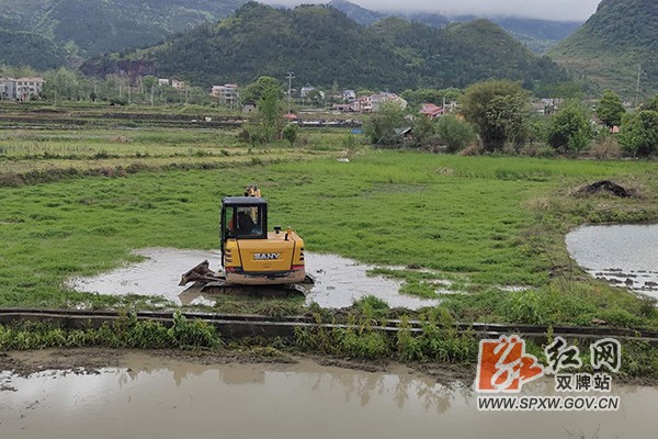 H泷泊镇：多措并举，扎实推进耕地抛荒治理1.jpg