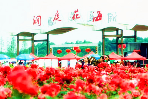 图片2.png