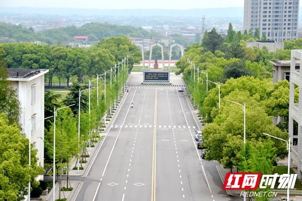 校园主干道“北京路”洁净如新。.jpg