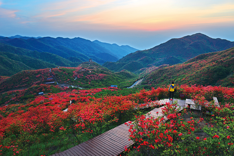 11版生活-1.jpg 11版生活-1.jpg