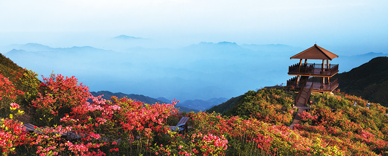 11版生活-2.jpg 11版生活-2.jpg