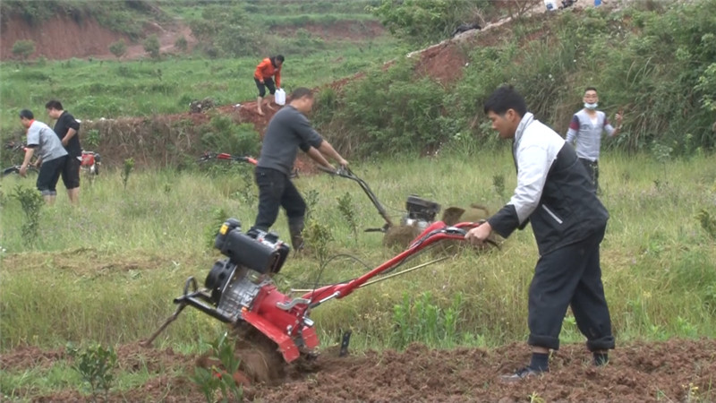 农机购置补贴新进机具现场 (4).jpg